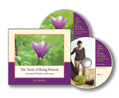 The Taste of Being Present audio book image