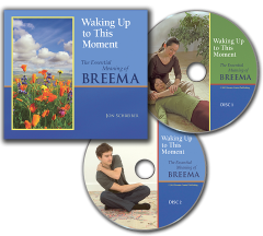 Waking Up to This Moment audio book image