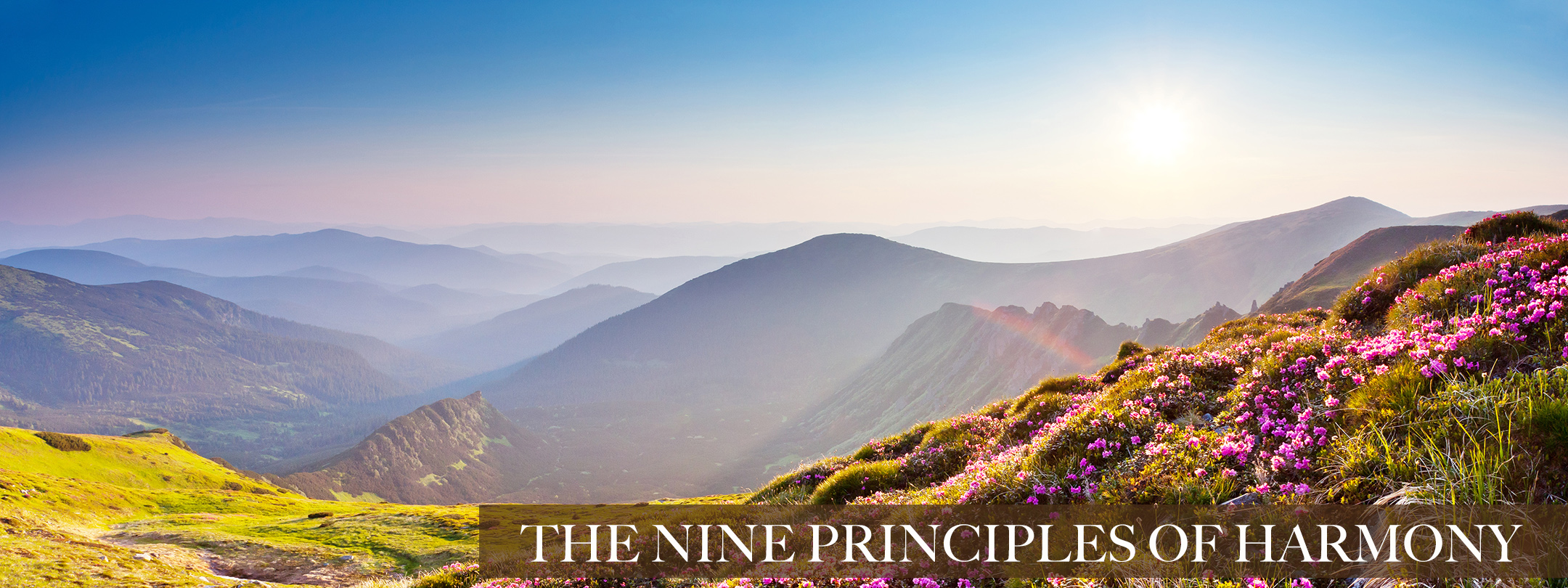 The nine principles of harmony