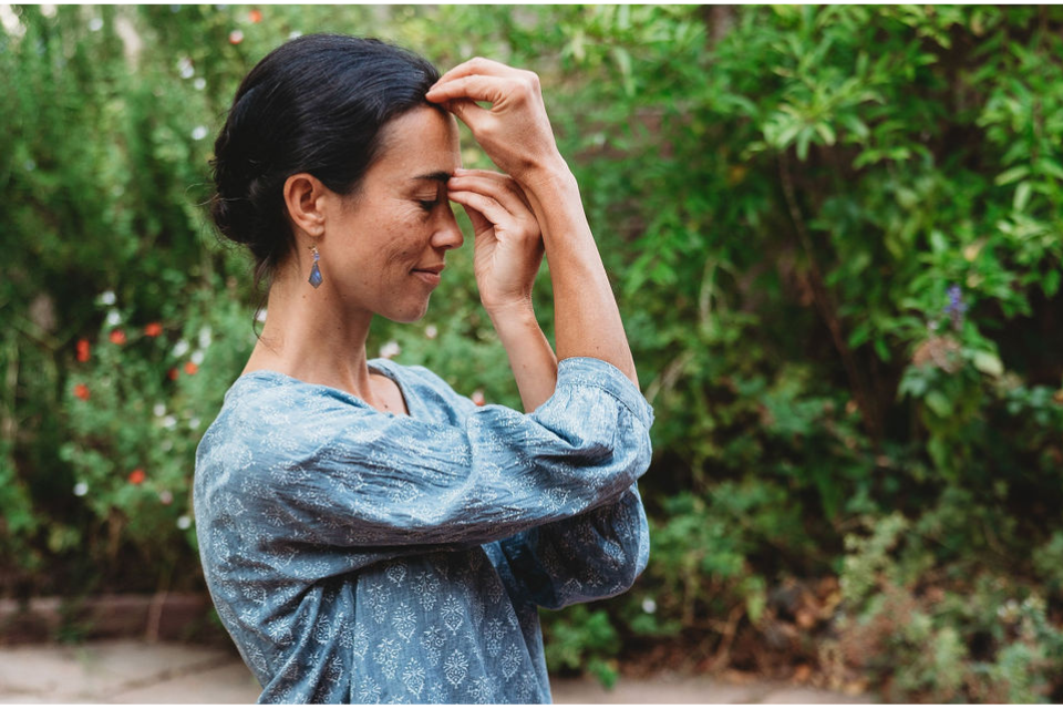 Touching the Essence in This Moment - Discovering Our True Nature through the Nine Principles of Harmony