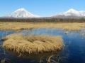 Volcanoes in spring