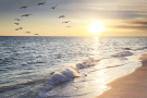A sandy beach with birds flying over a body of water.