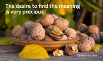 Bowl of overflowing walnuts on table