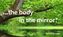 Lush green tree limbs hanging low on reflective water