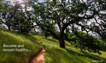 Well-traveled path on lush green hillside under oak canopy