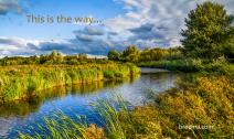 River winding through lush green wetlands with scattered clouds