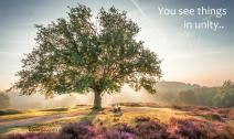 Inviting bench under a large tree canopy with sun shining through its branches.