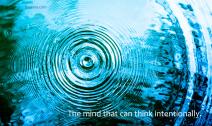 Close up of a water drop rippling on a clear pond.