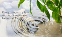 Ripple on a clear pond under a green canopy.