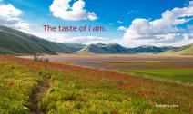 Colorful field and farmlands surrounded by rolling hills and expansive sky.