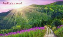 Sun rising over a green mountain scape with purple flowers blooming.