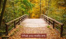 Wooden bridge over the river surrounded by the colorful fall foliage in the forest.