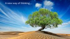 Lonely tree in the midst of the desert under blue sky.