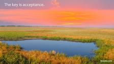 Small water hole in the midst of a prairie under colorful skies.