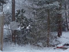 East Hampton my back yard