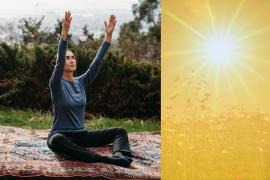 Turning Toward the Sun