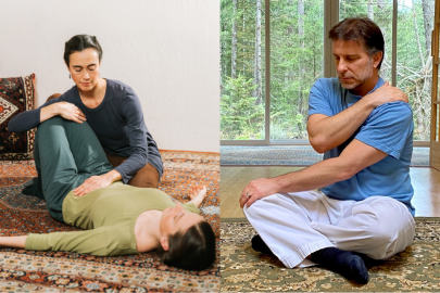 Bay Area Danceweek classes in Breema and Self-Breema