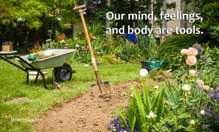 Shovel and wheel barrel in a newly tilled bed of a vibrant garden