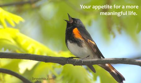 Singing bird sitting on a branch in the sun