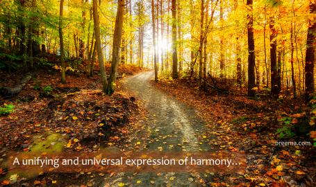 Path amongst a forest of autumn trees with the sun at the horizon