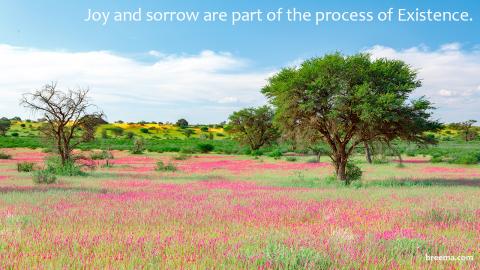 Colorful field of flowers among trees in a cloudy blue sky.