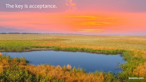 Small water hole in the midst of a prairie under colorful skies.