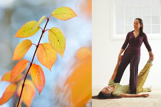 Breema bodywork with Salena Irion for the Fall Breema Intensive