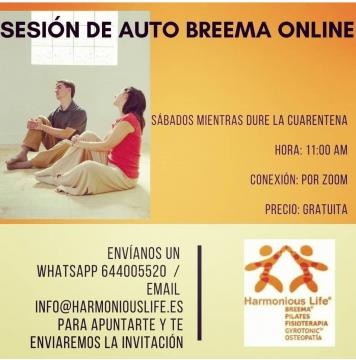 online AutoBreema class