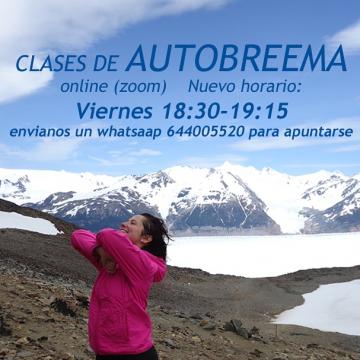 Patagonia Self-Breema