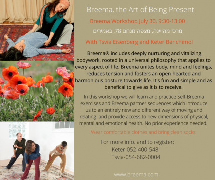 Breema Workshop in Northern Israel