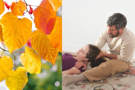 Breema at the Fall Intensive 2024