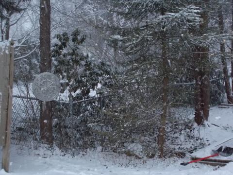 East Hampton my back yard