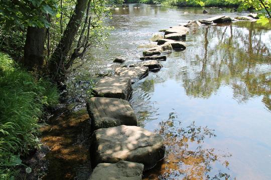 Stone steps across a stream