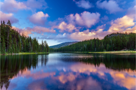 Mt. Bachelor reflecting on Todd Lake