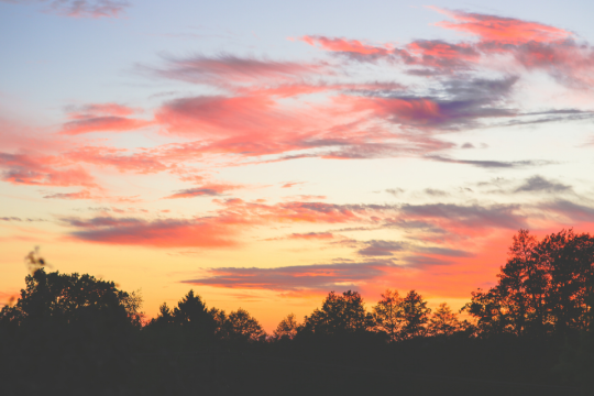 Silhouette of trees of colorful sky at dusk.