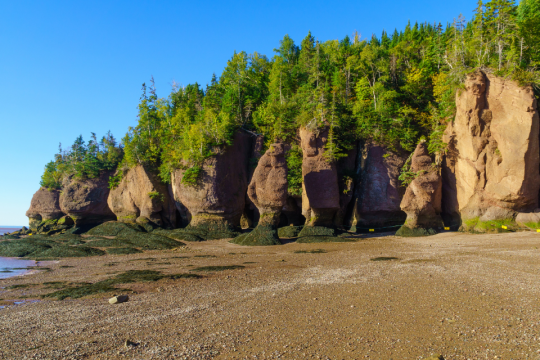 Rocks covered in shrubs along the coast under blue sky.