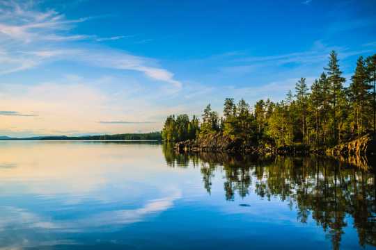 A lake with trees and sky reflected in the water.