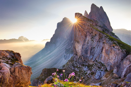 Sun glaring through craggy mountain tops with spring flowers in bloom.