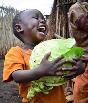 smiling boy with cabbage