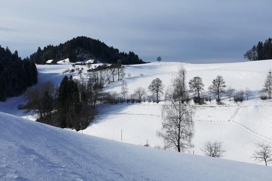 Snowy mountain top in winter in Bühl Germany