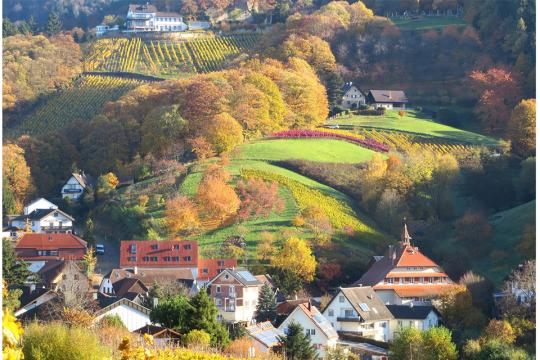 Bühl, Germany, location of European Breema Intensive