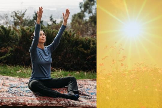 Turning Toward the Sun