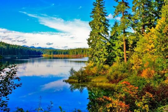 Clear lake surrounded by brilliant pine trees and mountains under blue skies.