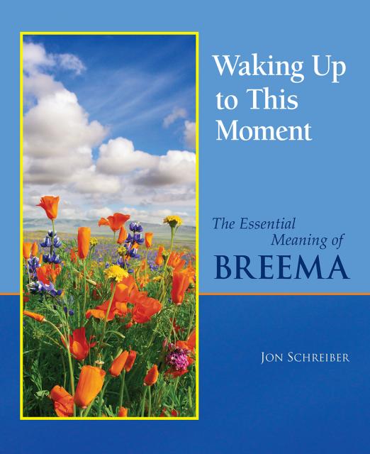 Waking Up to This Moment book by Jon Schreiber