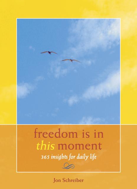 Freedom Is in This Moment book by Jon Schreiber