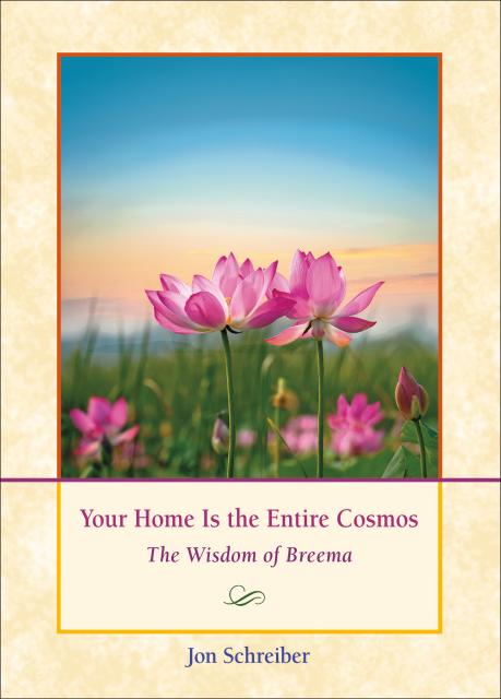 Your Home Is the Entire Cosmos book by Jon Schreiber
