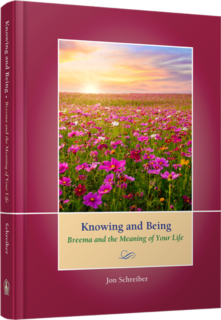 Knowing and Being book cover