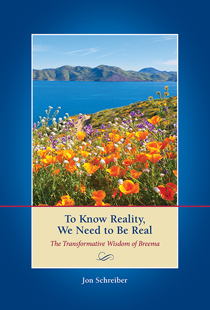 Cover of a Breema Center book written by Jon Schreiber about the transformative wisdom of Breema.
